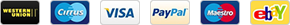 accept payment